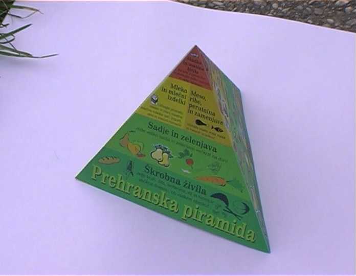 3-kotna škodljiva oblika prehranske piramide IVZ RS