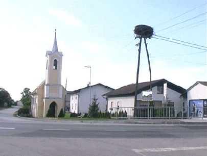 Šikole gnezdo